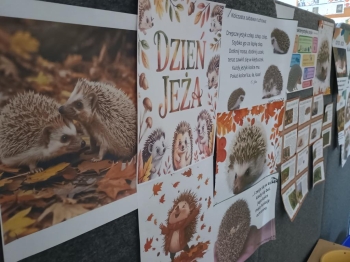 IMG_20251119_103030859_HDR (Copy)