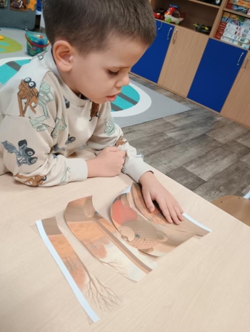 IMG_20251126_104448580 (Copy)