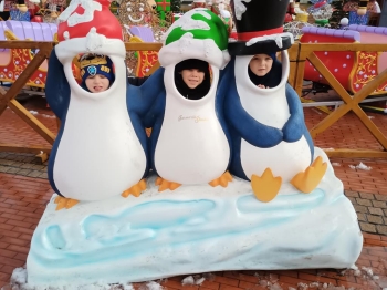 IMG_20251127_111604300 (Copy)