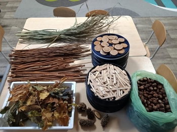 IMG_20251211_093314122_HDR (Copy)