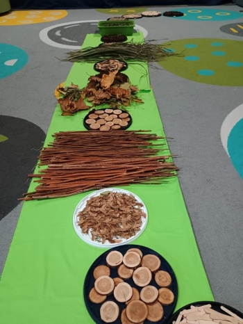 IMG_20251211_113220579 (Copy)