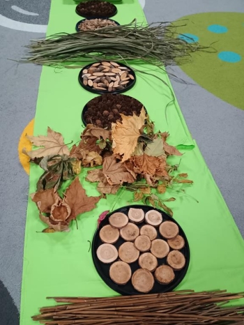 IMG_20251211_113228492 (Copy)