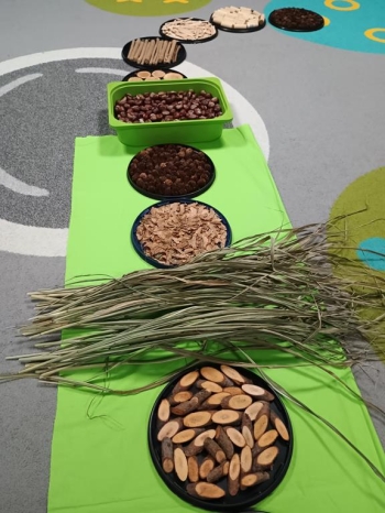 IMG_20251211_113231846 (Copy)