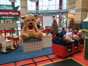 IMG_20251208_105509214_HDR (Copy)