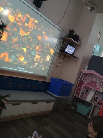 IMG_20251215_093953663_HDR (Copy)