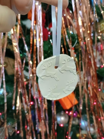 IMG_20251218_102833143_HDR (Copy)