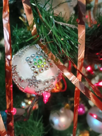 IMG_20251218_102851424_HDR (Copy)