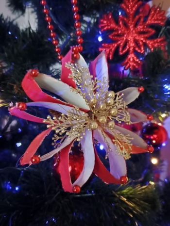 IMG_20260112_133510155_HDR (Copy)