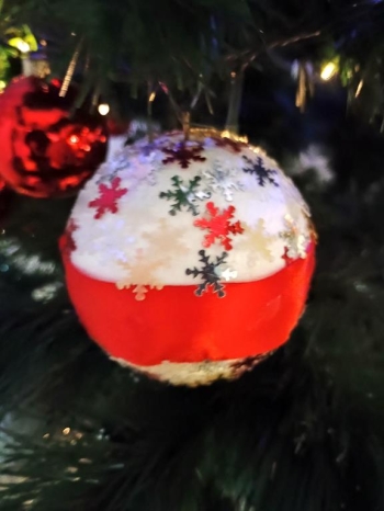 IMG_20260112_133517663 (Copy)