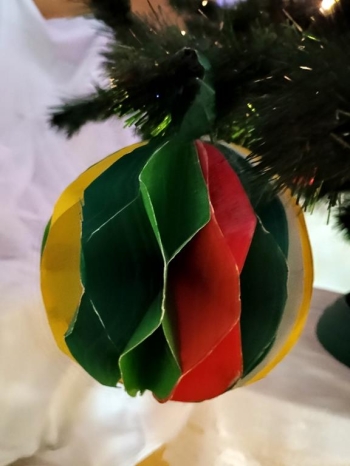 IMG_20260112_133523216 (Copy)