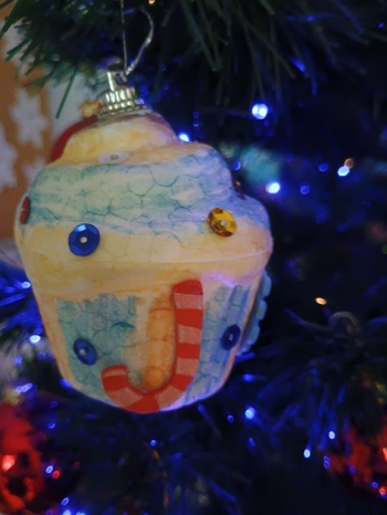 IMG_20260112_133531542_HDR (Copy)