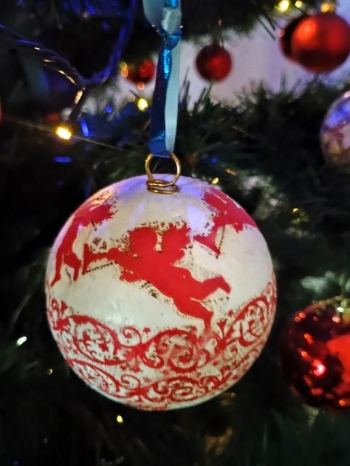 IMG_20260112_133543037 (Copy)