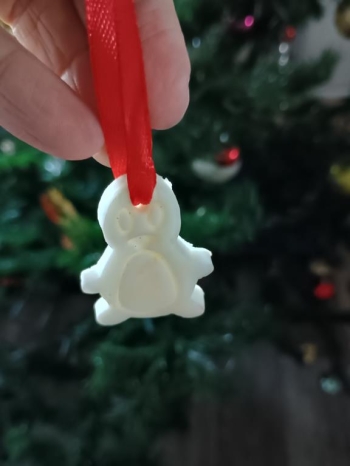 IMG_20260119_142041049_HDR (Copy)