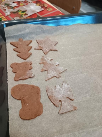 IMG_20251218_102336239 (Copy)