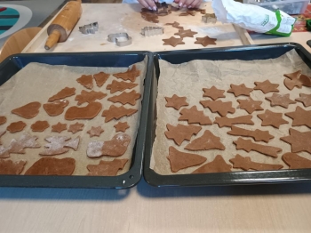 IMG_20251218_103815489 (Copy)