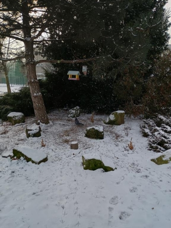 IMG_20260108_111825003_HDR (Copy)