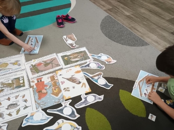 IMG_20260112_100818653 (Copy)