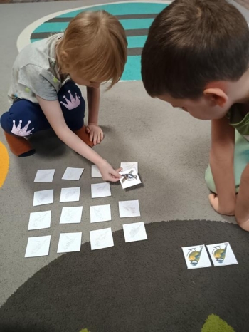 IMG_20260112_101113717_HDR (Copy)