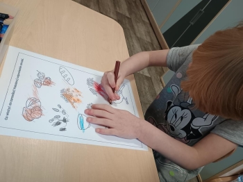 IMG_20260112_102319008 (Copy)