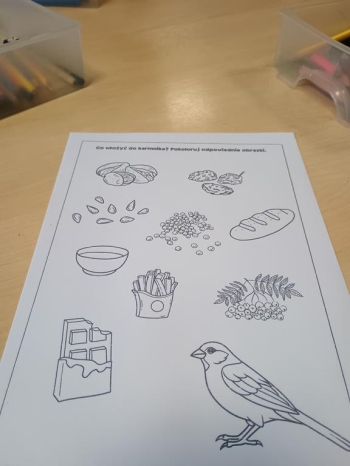 IMG_20260112_102323781 (Copy)