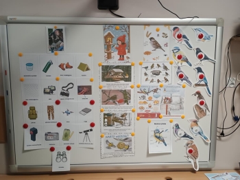 IMG_20260112_114207852 (Copy)