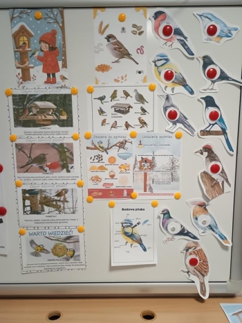 IMG_20260112_114213298 (Copy)