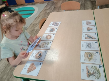 IMG_20260113_085152283 (Copy)