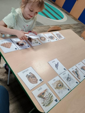 IMG_20260113_085306457_HDR (Copy)