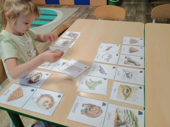 IMG_20260113_085351814 (Copy)