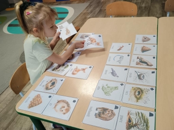 IMG_20260113_085415222 (Copy)