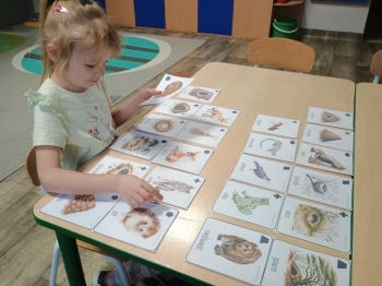 IMG_20260113_085434846 (Copy)