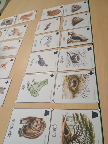 IMG_20260113_085448185 (Copy)