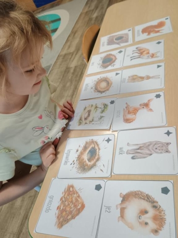 IMG_20260113_085450233 (Copy)