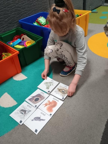 IMG_20260114_094342213 (Copy)