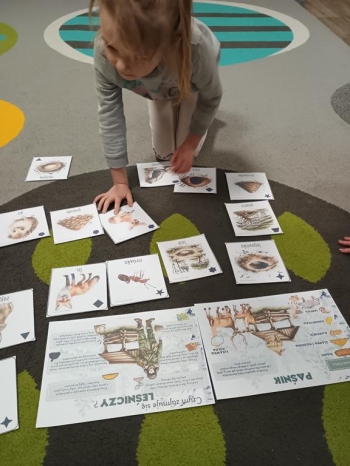 IMG_20260114_094355357 (Copy)