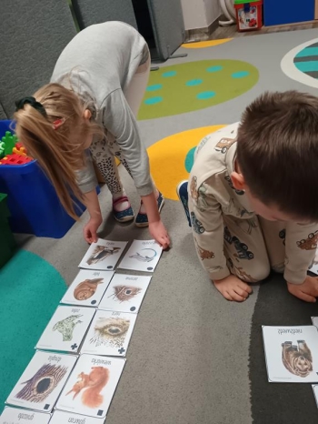 IMG_20260114_094408811 (Copy)