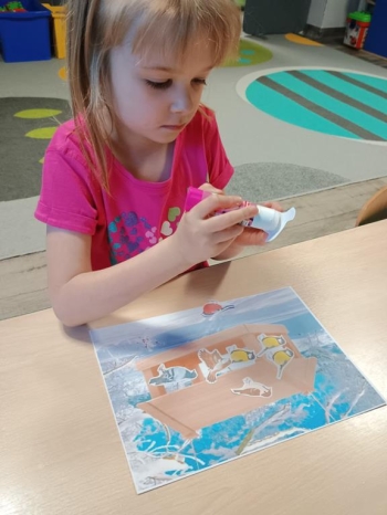 IMG_20260115_080702202 (Copy)