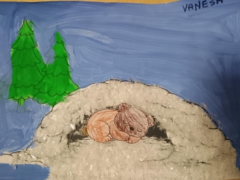 IMG_20260115_082930022 (Copy)