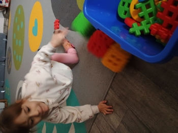 IMG_20260126_104546963