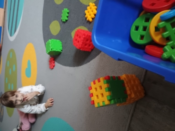 IMG_20260126_104720120