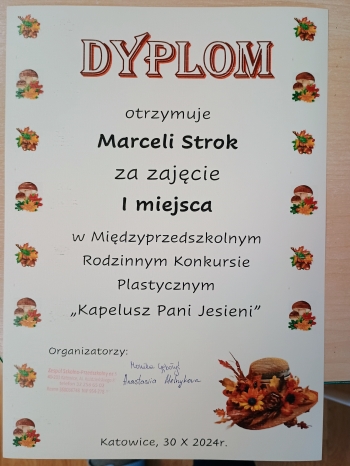 IMG_20241112_114907899_AE