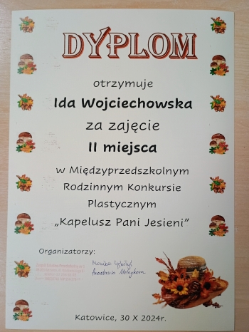 IMG_20241112_115001028_AE