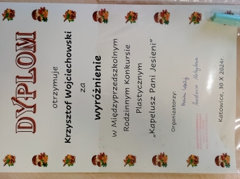 IMG_20241112_115121058_AE