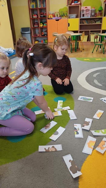 zIMG-20260129-WA0027