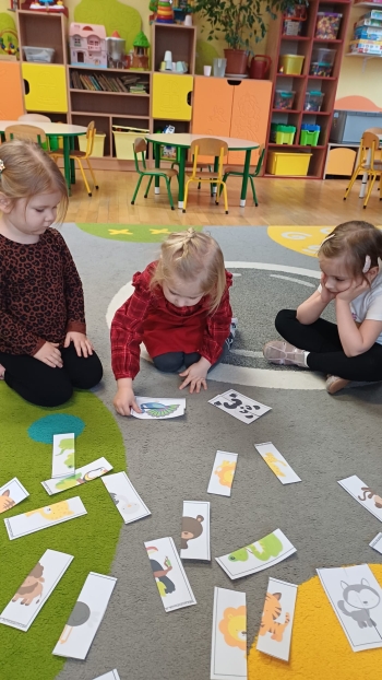 zIMG-20260129-WA0029