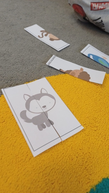 zIMG-20260129-WA0030