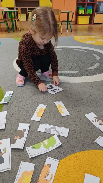 zIMG-20260129-WA0031