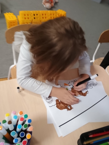 zIMG-20260129-WA0045