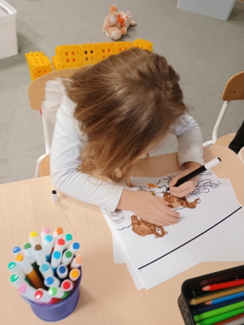 zIMG-20260129-WA0047