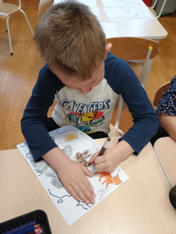 zIMG-20260129-WA0052